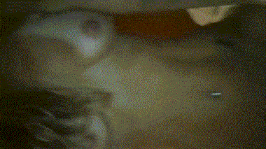 Супруга сначала берет в рот, а потом садится на мой хуй